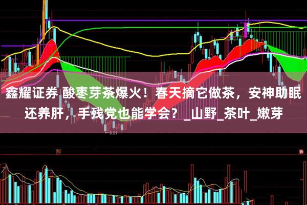 鑫耀证券 酸枣芽茶爆火！春天摘它做茶，安神助眠还养肝，手残党也能学会？_山野_茶叶_嫩芽