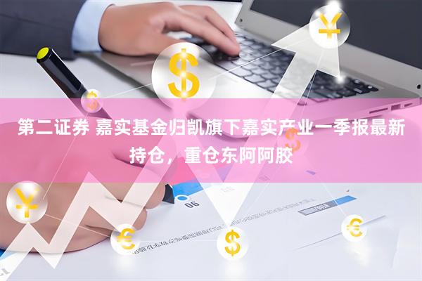 第二证券 嘉实基金归凯旗下嘉实产业一季报最新持仓，重仓东阿阿胶