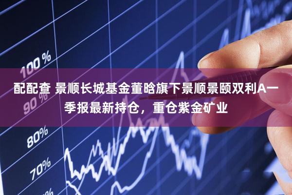 配配查 景顺长城基金董晗旗下景顺景颐双利A一季报最新持仓,重仓紫金矿业